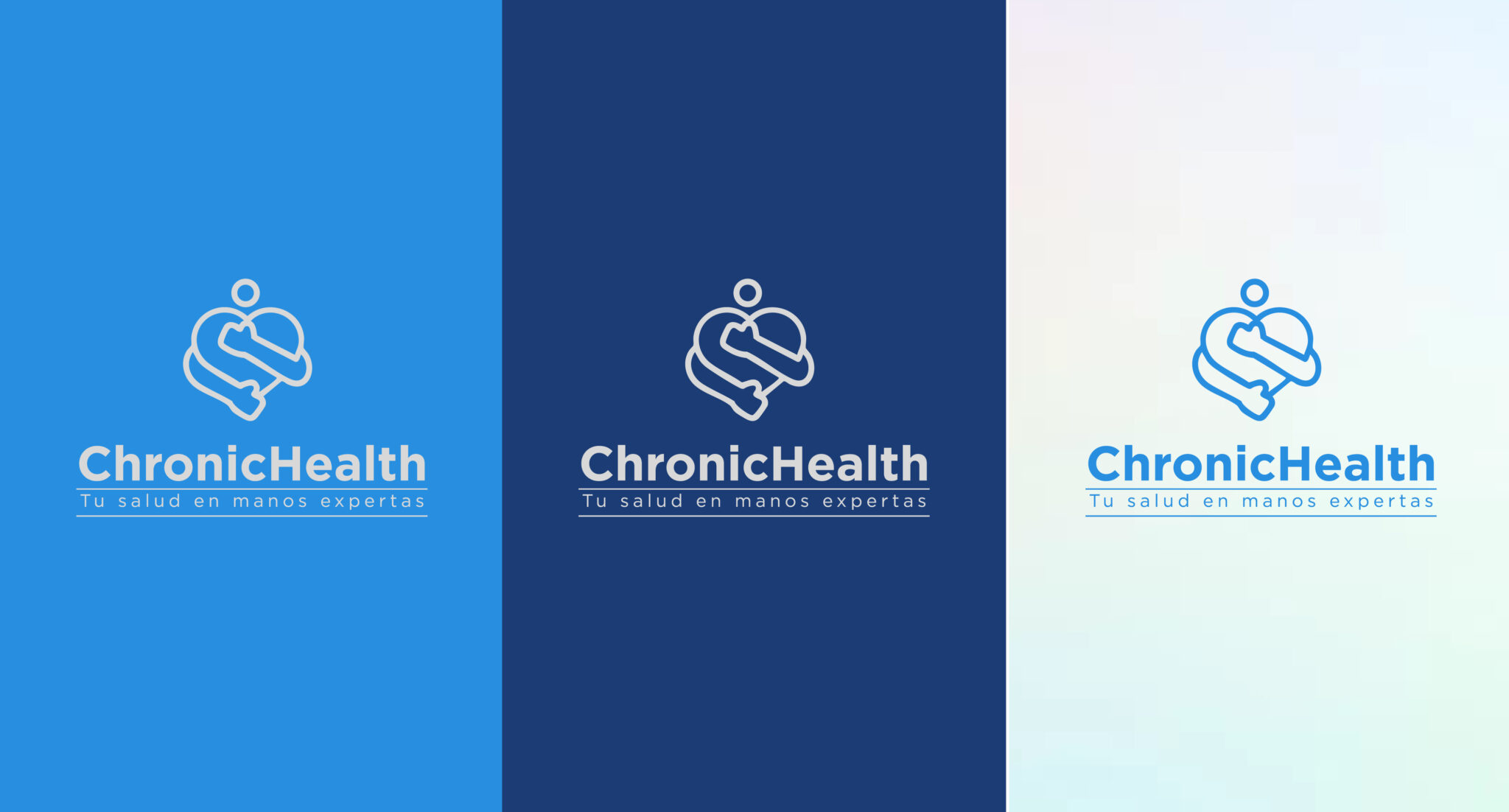 Chronic Health Vista 4
